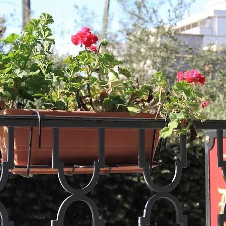 Domus Angela Трани