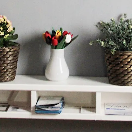 Bed & Breakfast Domus Angela 3*