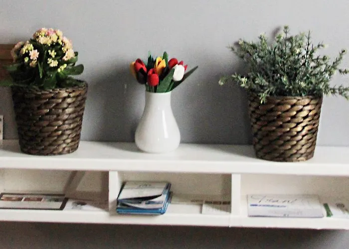 Couette-café Domus Angela 3*